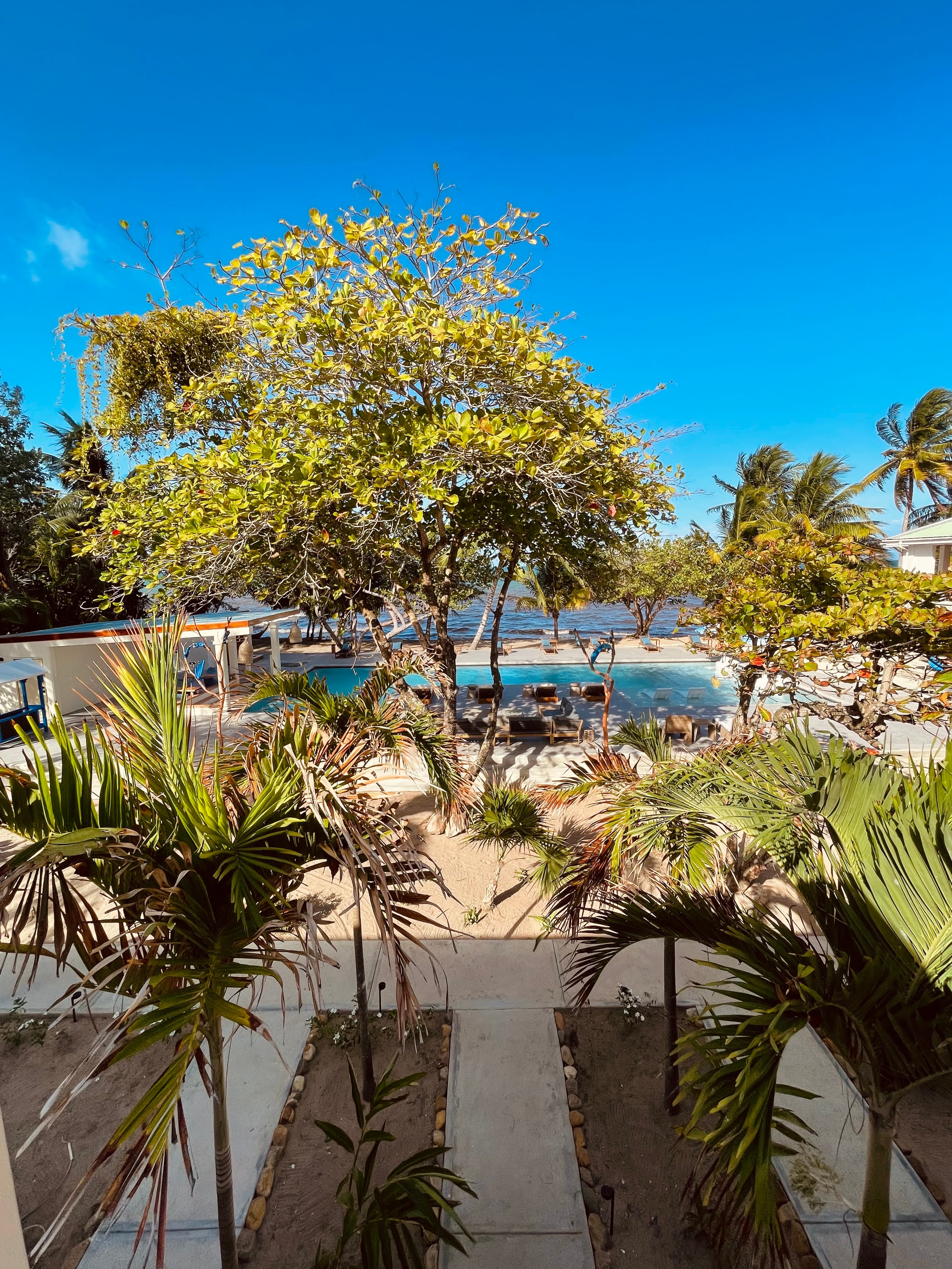The leafy pool view as seen from between the rooms on the second floor