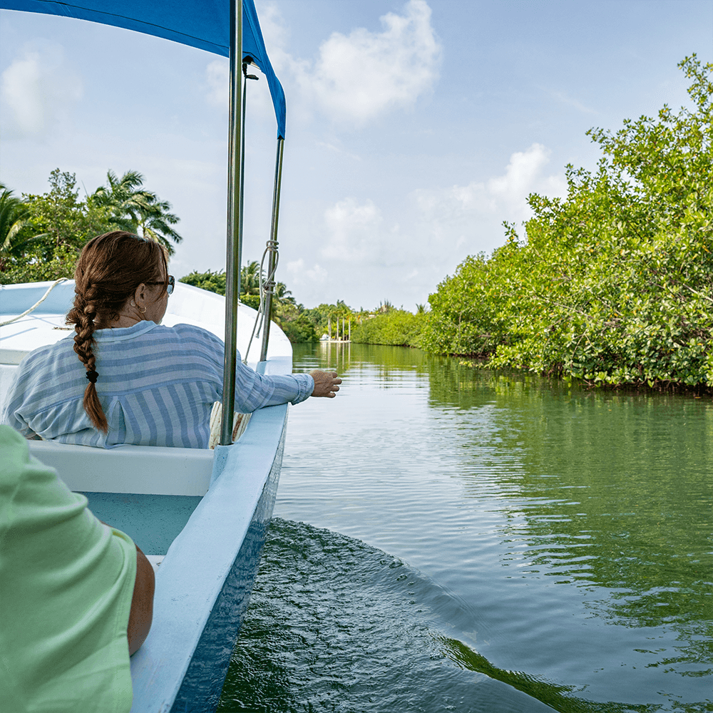 A person with braided hair enjoys a boat ride through a serene mangrove area.