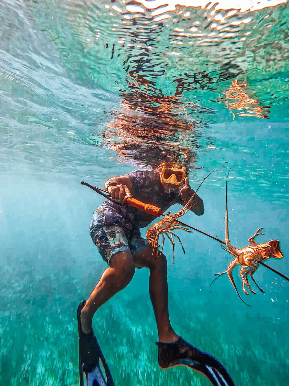 A person snorkeling underwater, holding two lobsters while using a spear.
