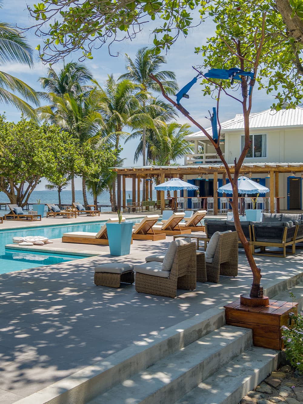 A serene poolside area with lounge chairs surrounded by palm trees and a beachfront view.