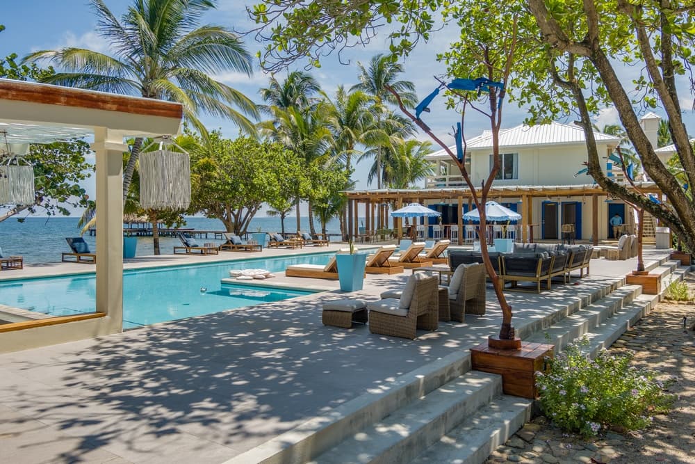 A luxurious poolside area with lounge chairs, palm trees, and ocean views.