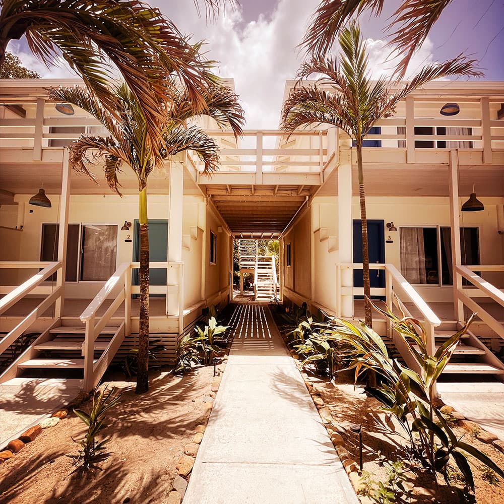 Two-story tropical cabins with palm trees lining a pathway.