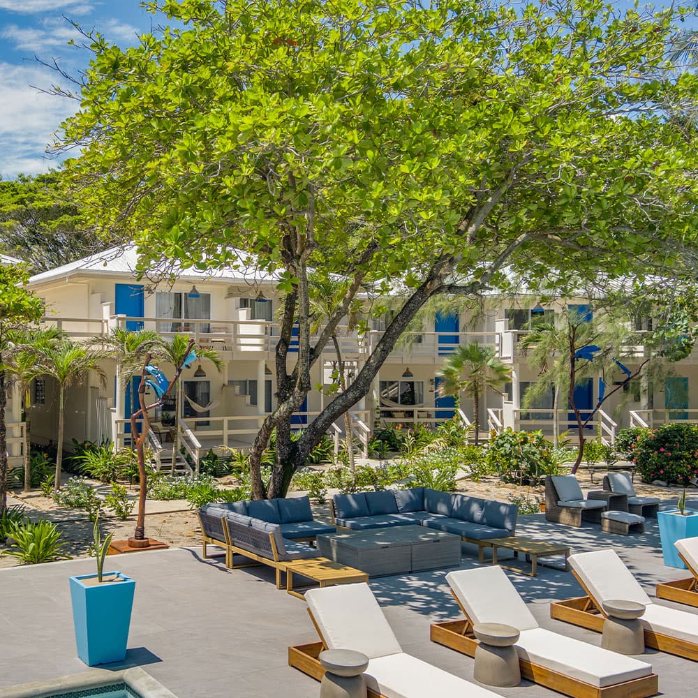 A sunny resort area featuring lounge chairs, greenery, and a light-colored building with blue accents.
