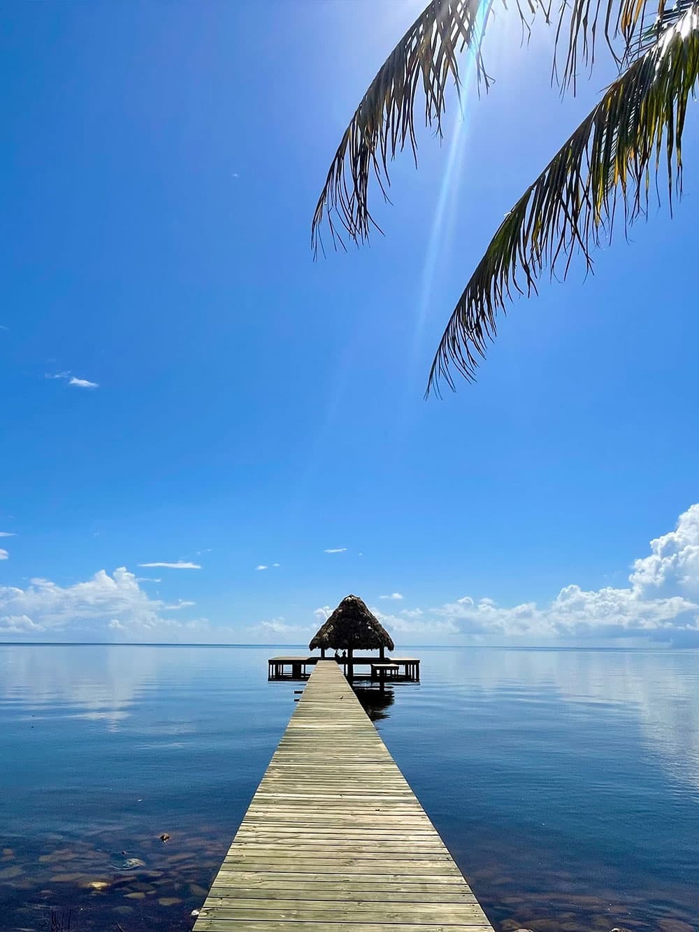 A wooden dock extends into a calm, reflective body of water under a bright blue sky.