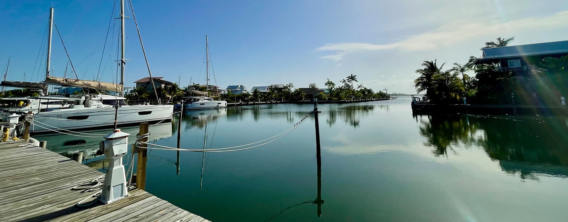 A calm marina with sailboats docked beside a serene waterway bordered by palm trees.