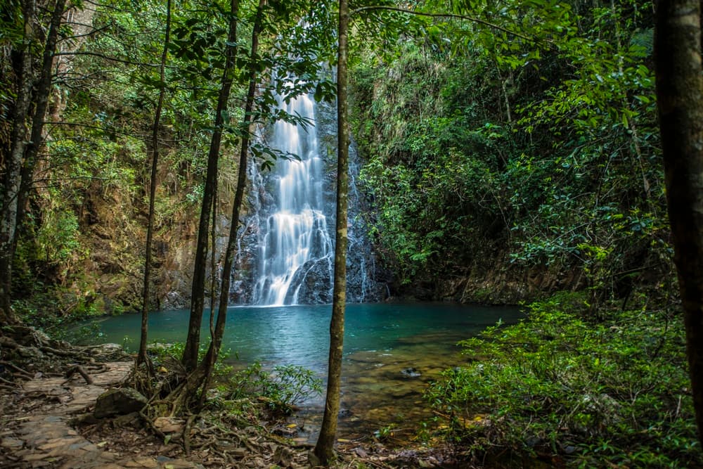 A serene waterfall cascading into a turquoise pool, surrounded by lush greenery and tall trees.