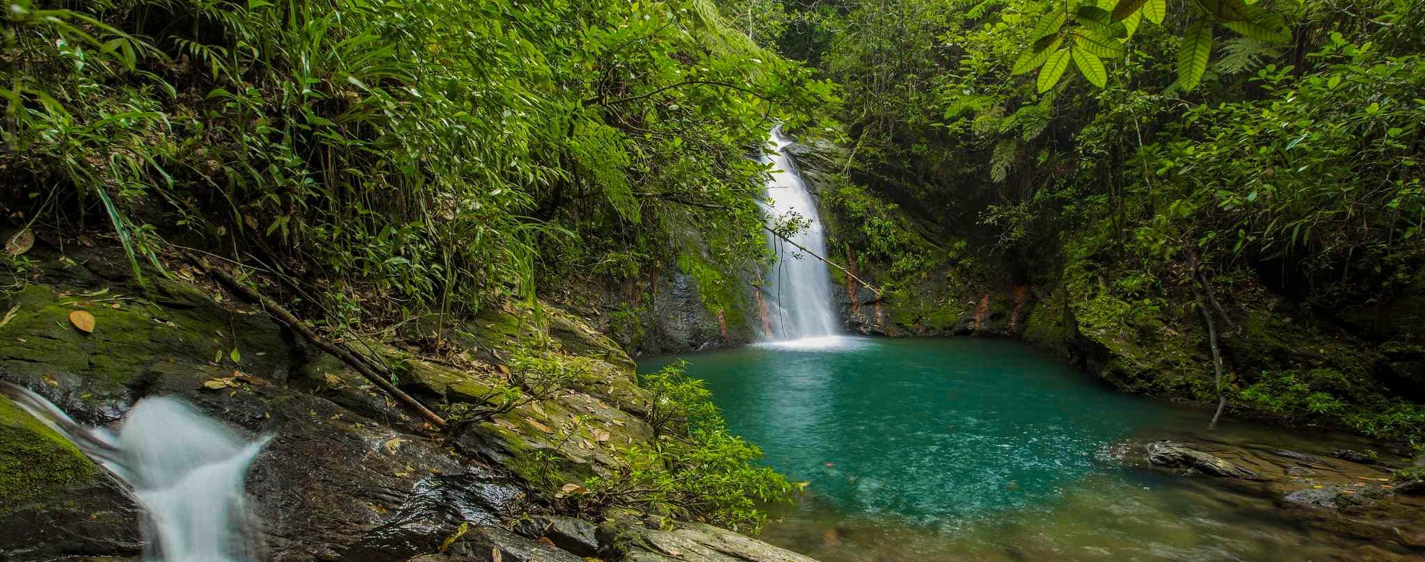 A serene waterfall cascading into a turquoise pool surrounded by lush greenery.