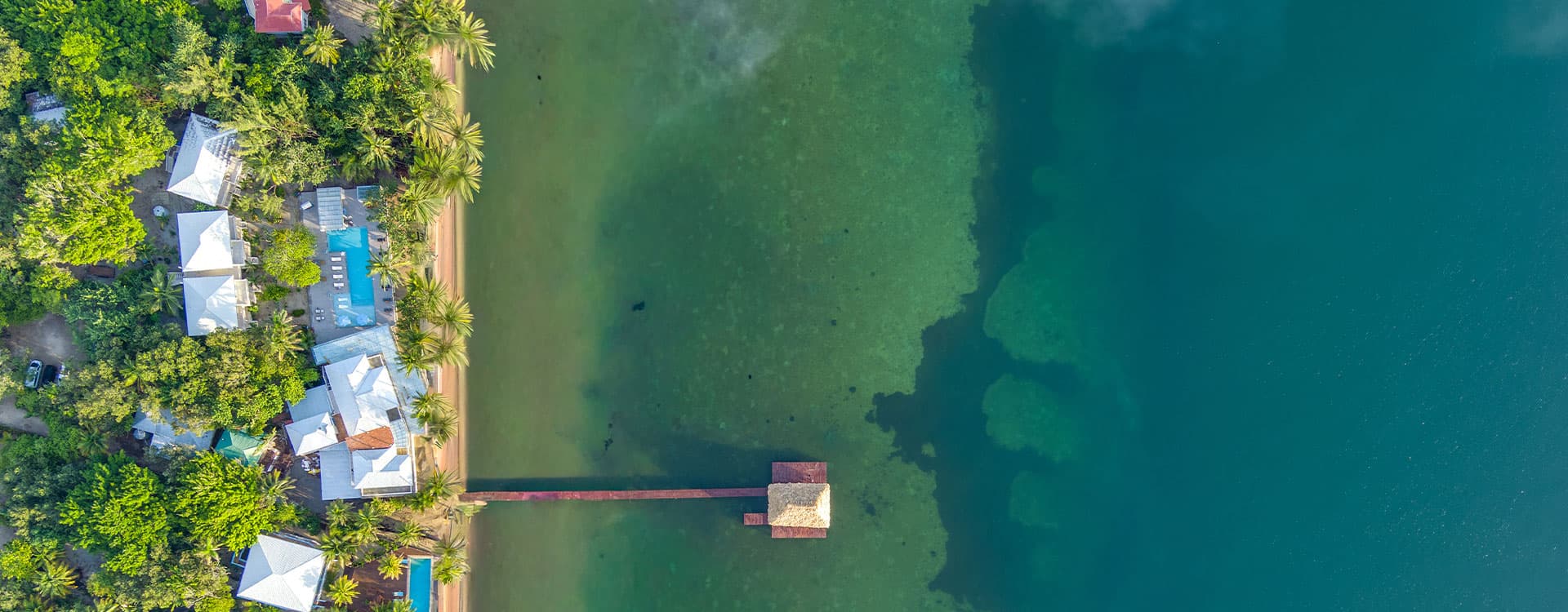 Aerial view of a marina surrounded by lush greenery and tranquil blue water.