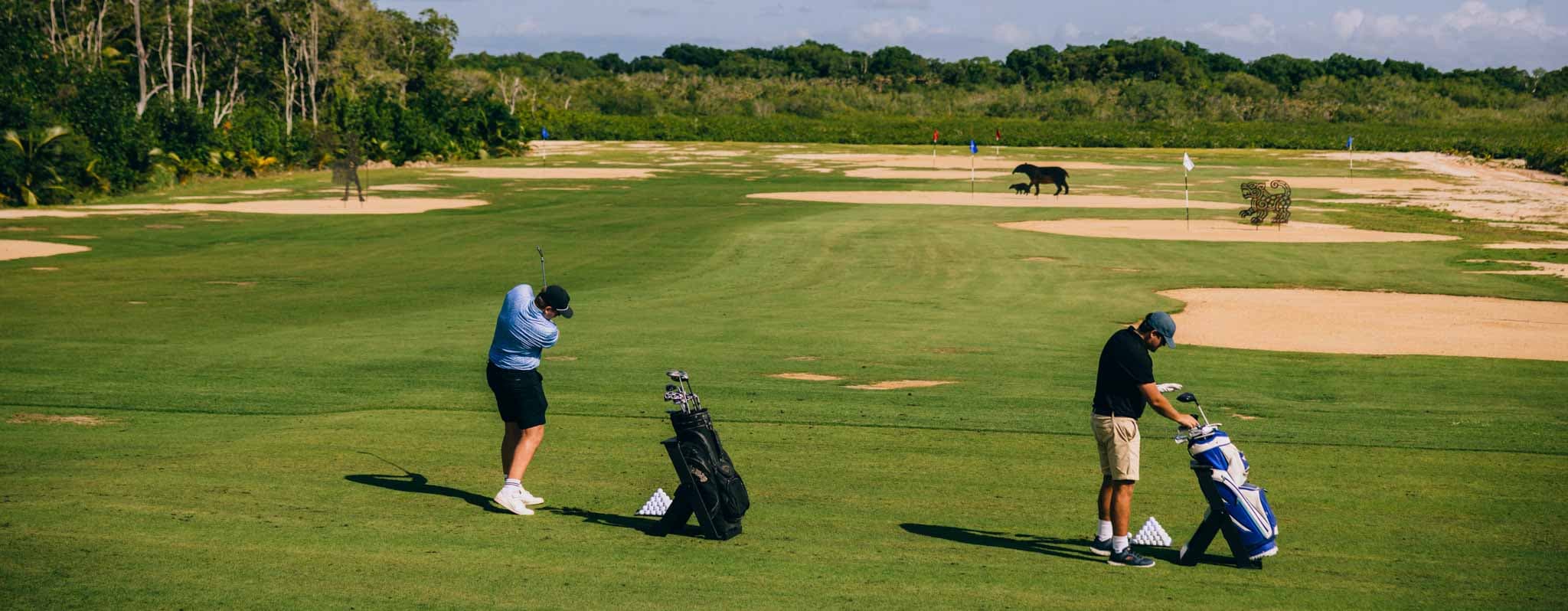Two golfers on a lush green course, one preparing to swing while the other organizes their golf bag, with a horse grazing in the background.