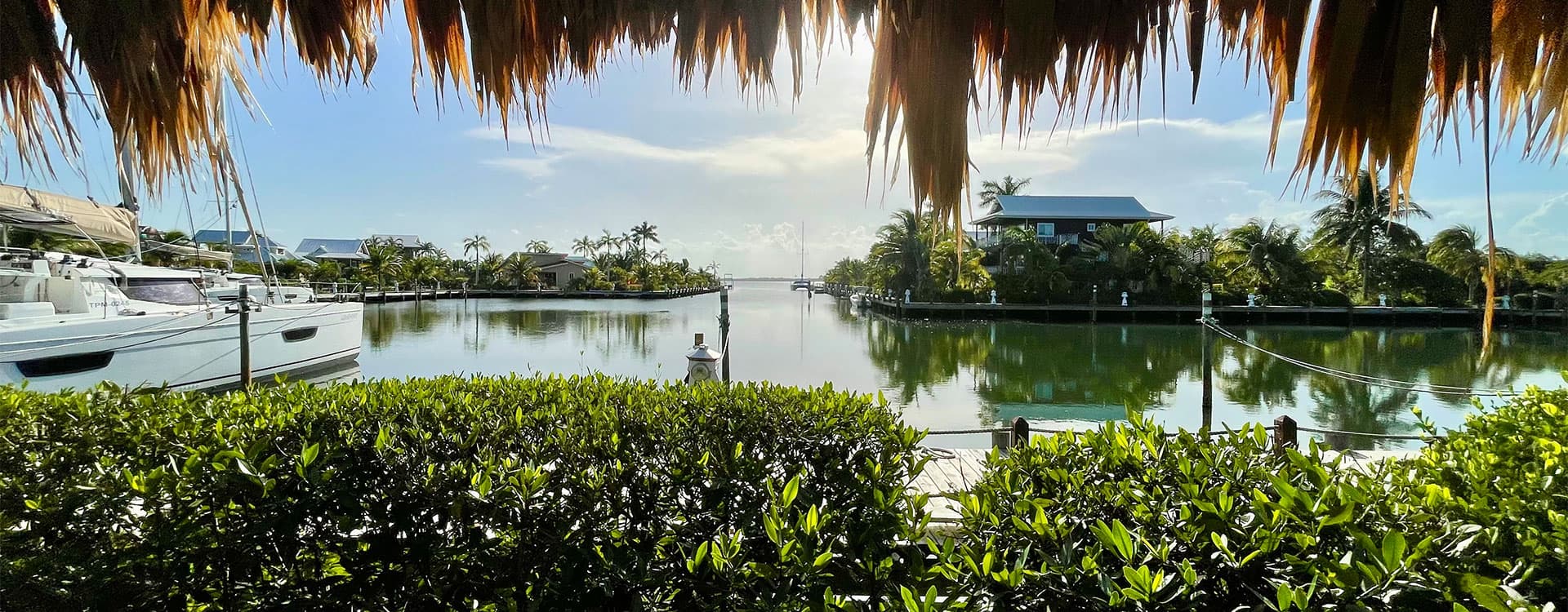 A serene waterway surrounded by lush greenery and palm trees under a clear sky.