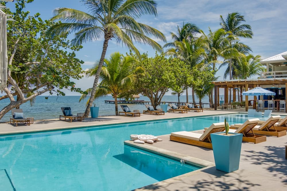 A serene beachfront pool surrounded by palm trees and lounge chairs under a clear blue sky.
