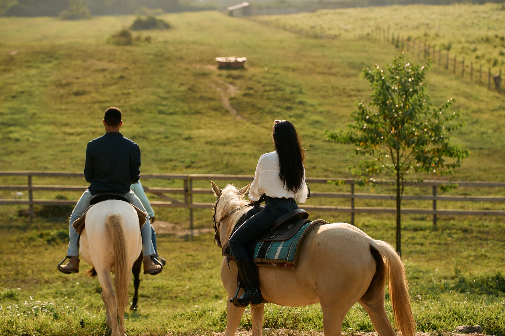 A man and a woman on horseback gaze at a scenic landscape on a sunny day.