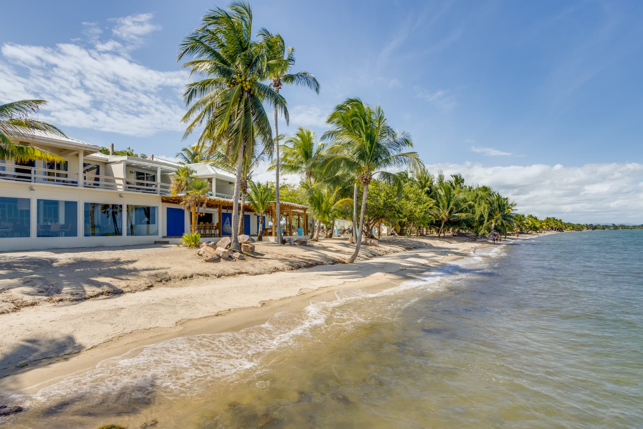 A serene beachside view featuring sandy shore, palm trees, and a waterfront building under a blue sky.