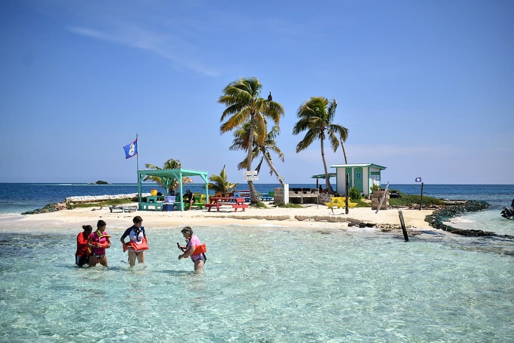 Four people wade in clear water near a beach with palm trees and colorful buildings under a blue sky.