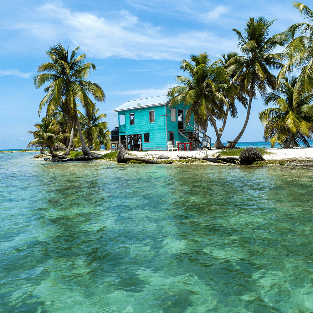 A turquoise house surrounded by palm trees on a small island, with clear blue water in the foreground.
