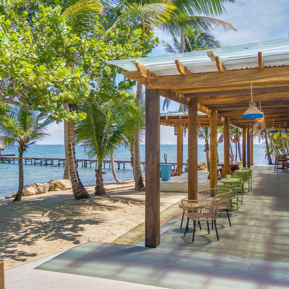 Tropical beachside restaurant with palm trees and outdoor seating.