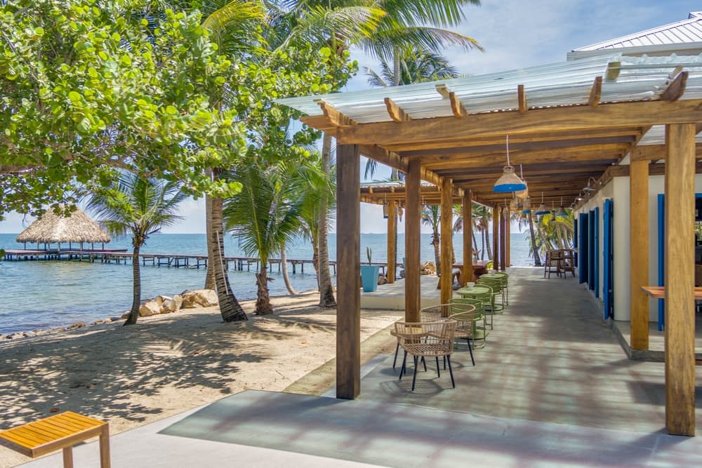 A seaside pathway lined with palm trees and outdoor seating offers a view of a pier in the distance.