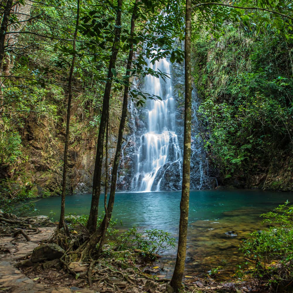 A serene waterfall cascades into a turquoise pool, surrounded by lush greenery.