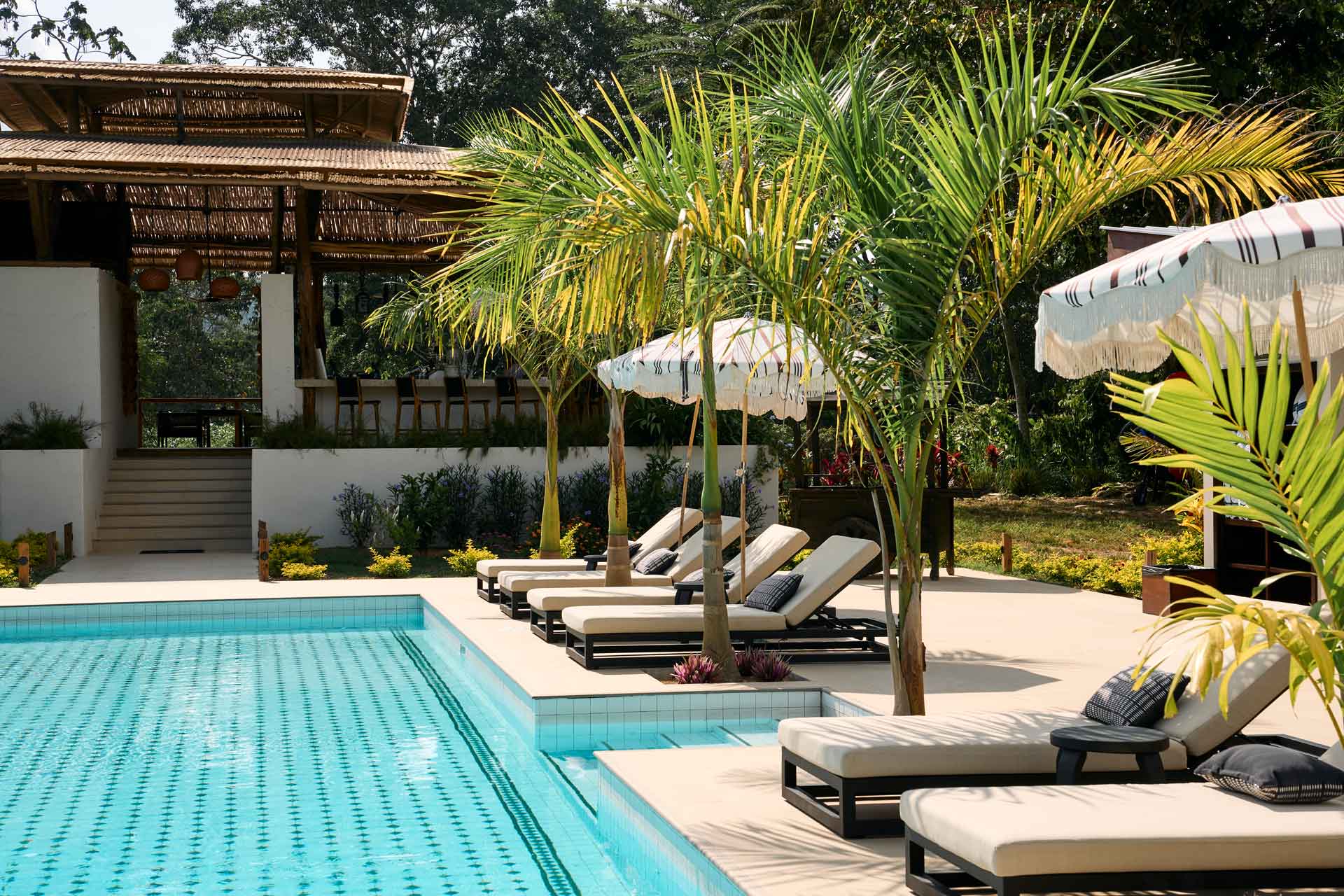 A serene poolside area with lounge chairs, surrounded by tropical plants and a rustic structure in the background.