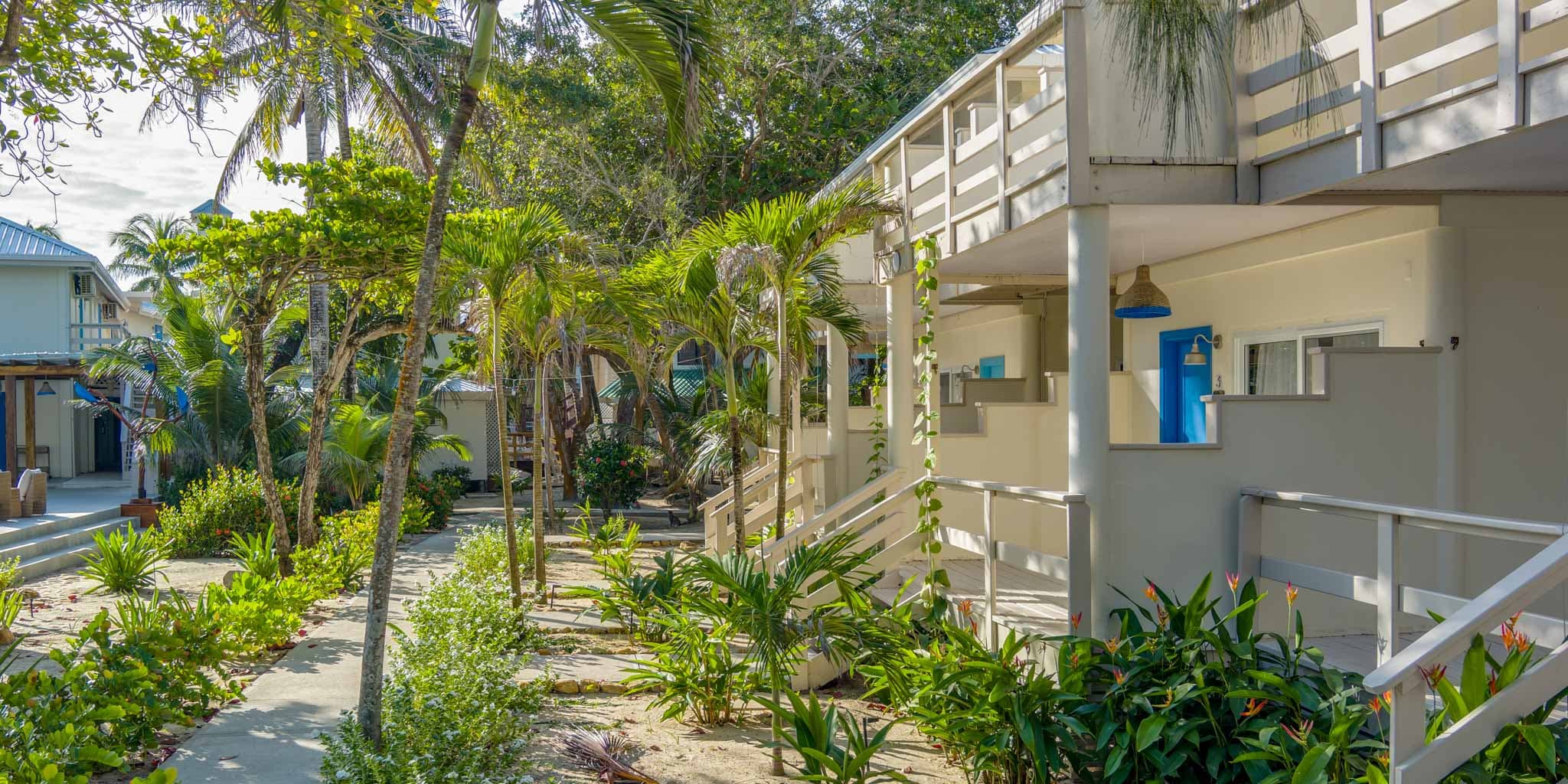 Pathway leading through coconut palm trees to the beachfront at Blue Reef Beach Resort, with sandy ground and ocean visible in the background.