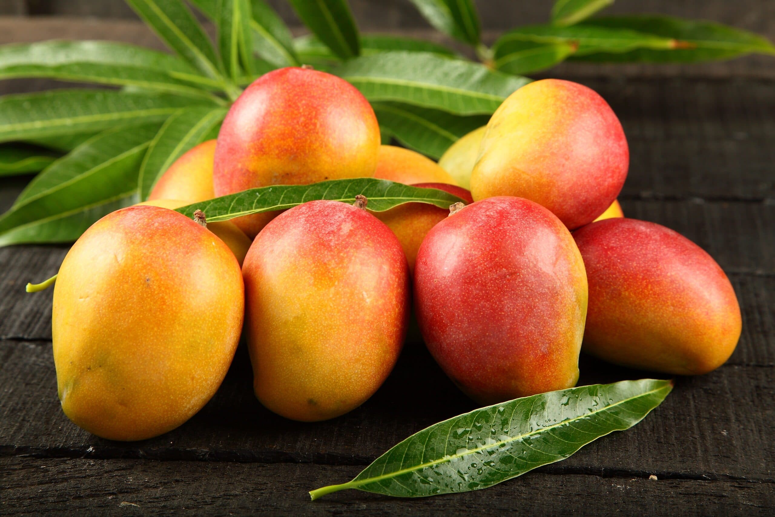 A bunch of mangoes on a table during the mango fest in Placencia Belize
