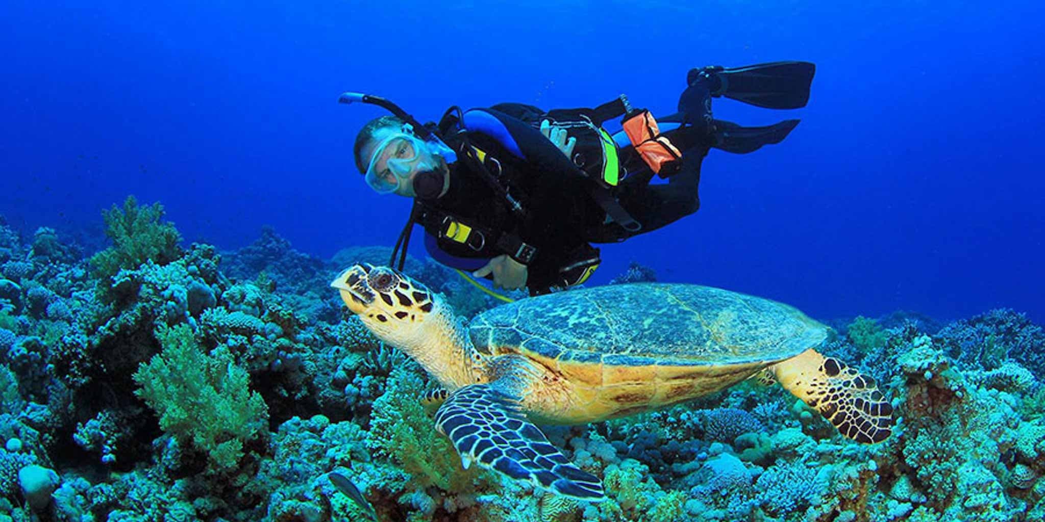 Scuba diving in Belize, offered at Blue Reef Beach Resort
