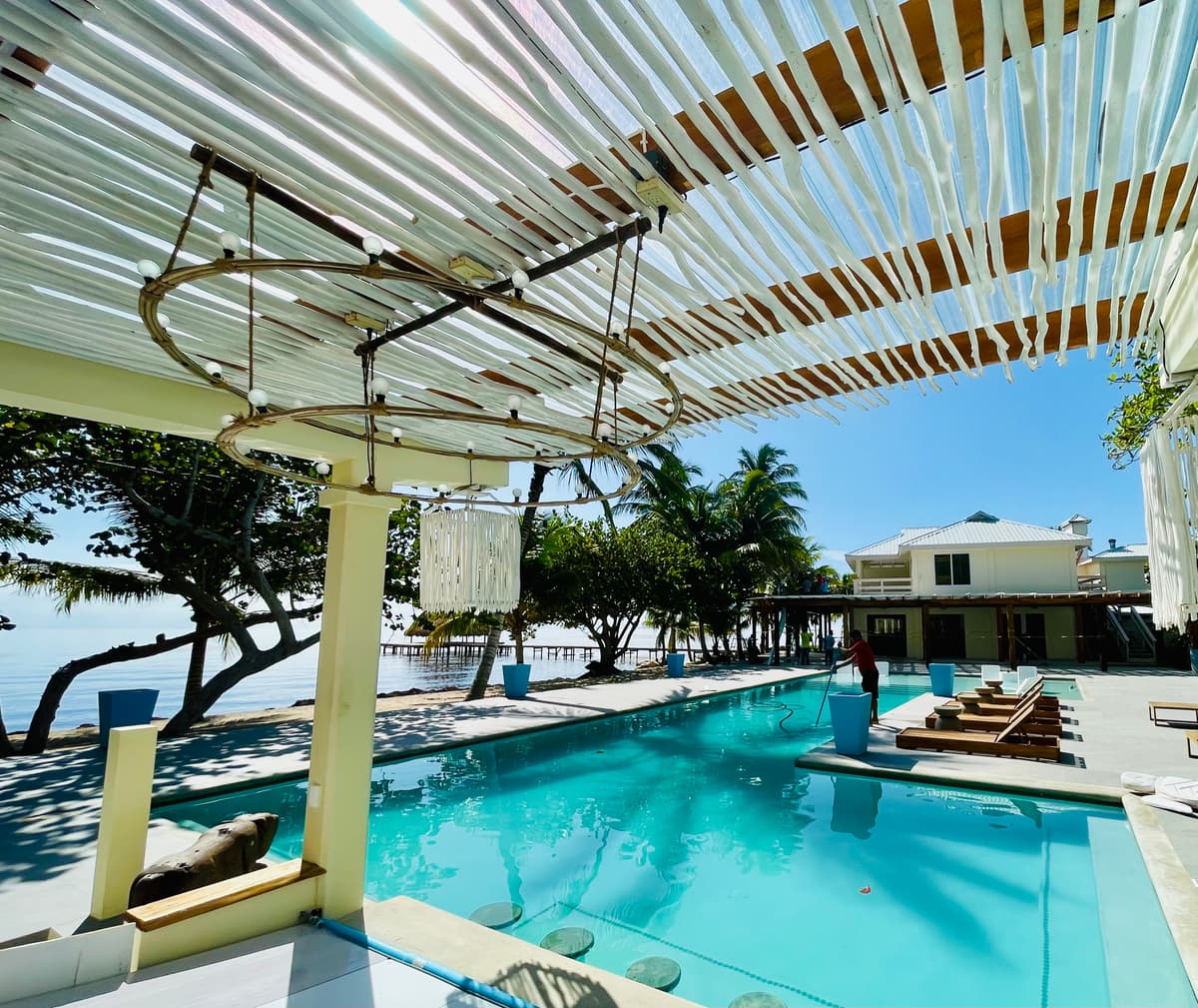 Brush Stick Over the Pool