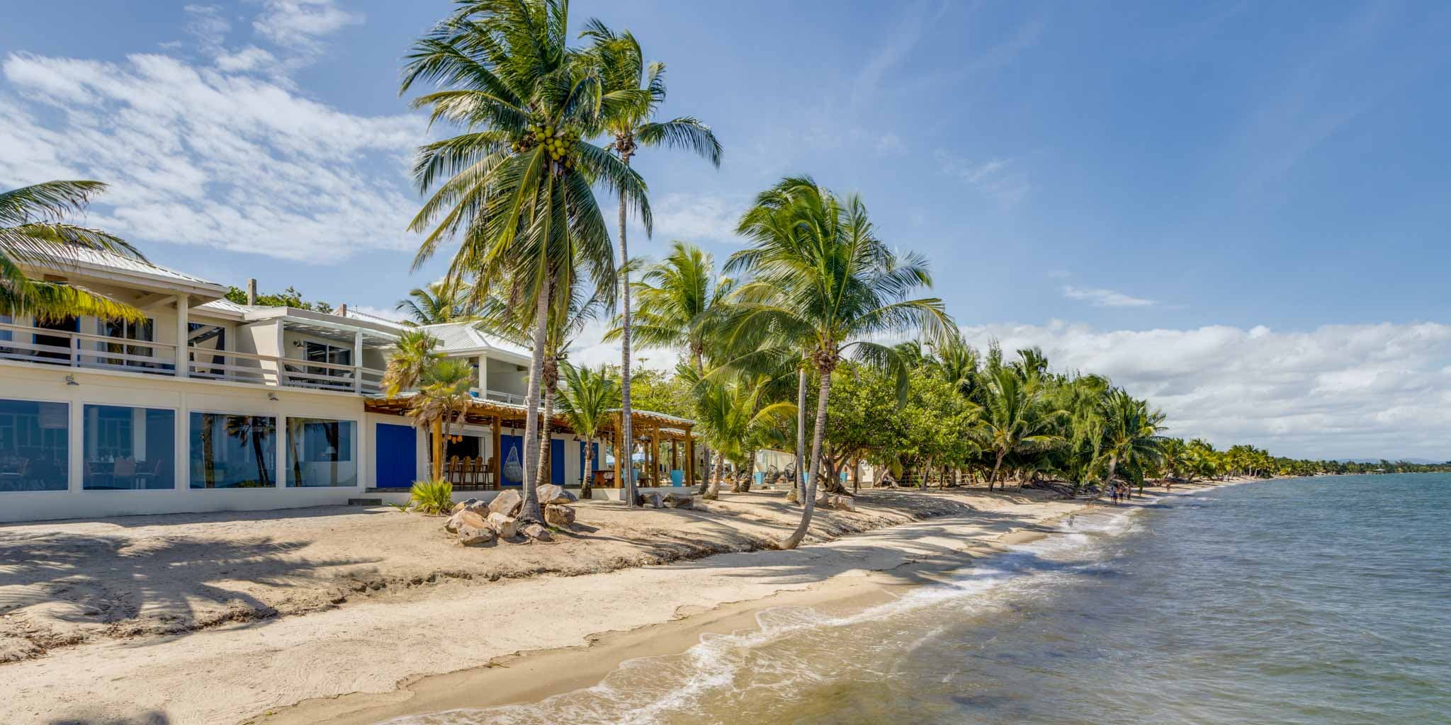Beachfront view at Blue Reef Beach Resort with tall coconut palm trees lining the shoreline, white sand, and turquoise ocean water