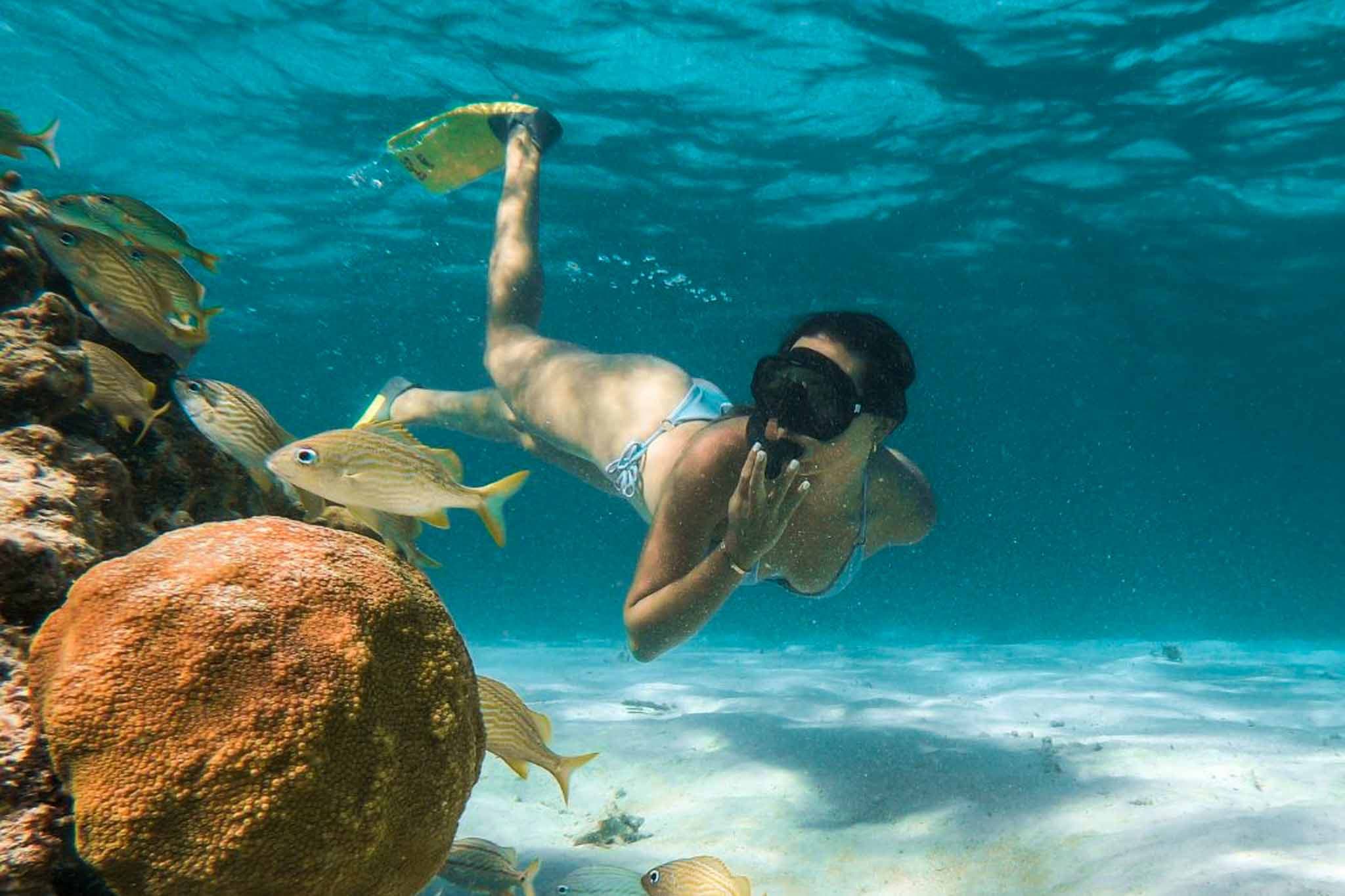 Guest snorkeling through corals and schools of fish in the shallow waters of the Belize Great Barrier Reef off the coast of Placencia, Belize