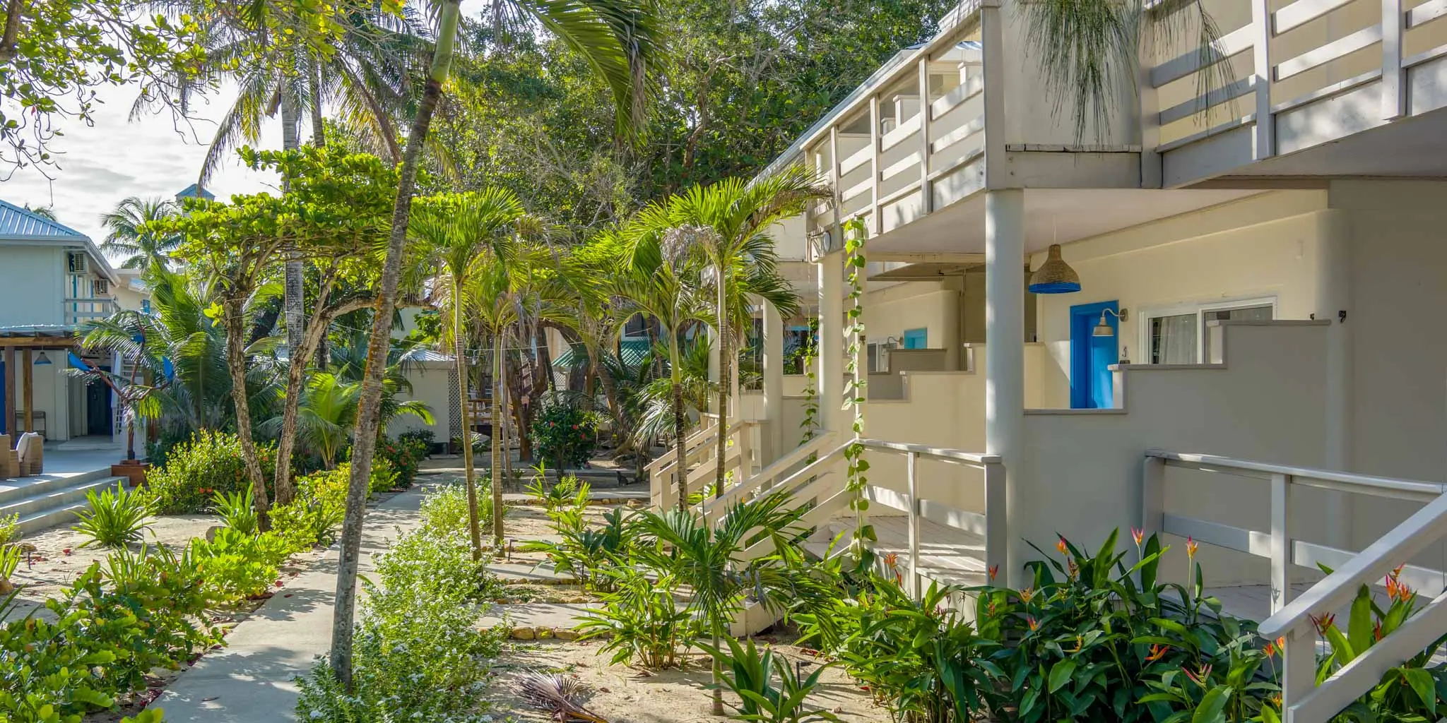 Pathway leading through coconut palm trees to the beachfront at Blue Reef Beach Resort, with sandy ground and ocean visible in the background.