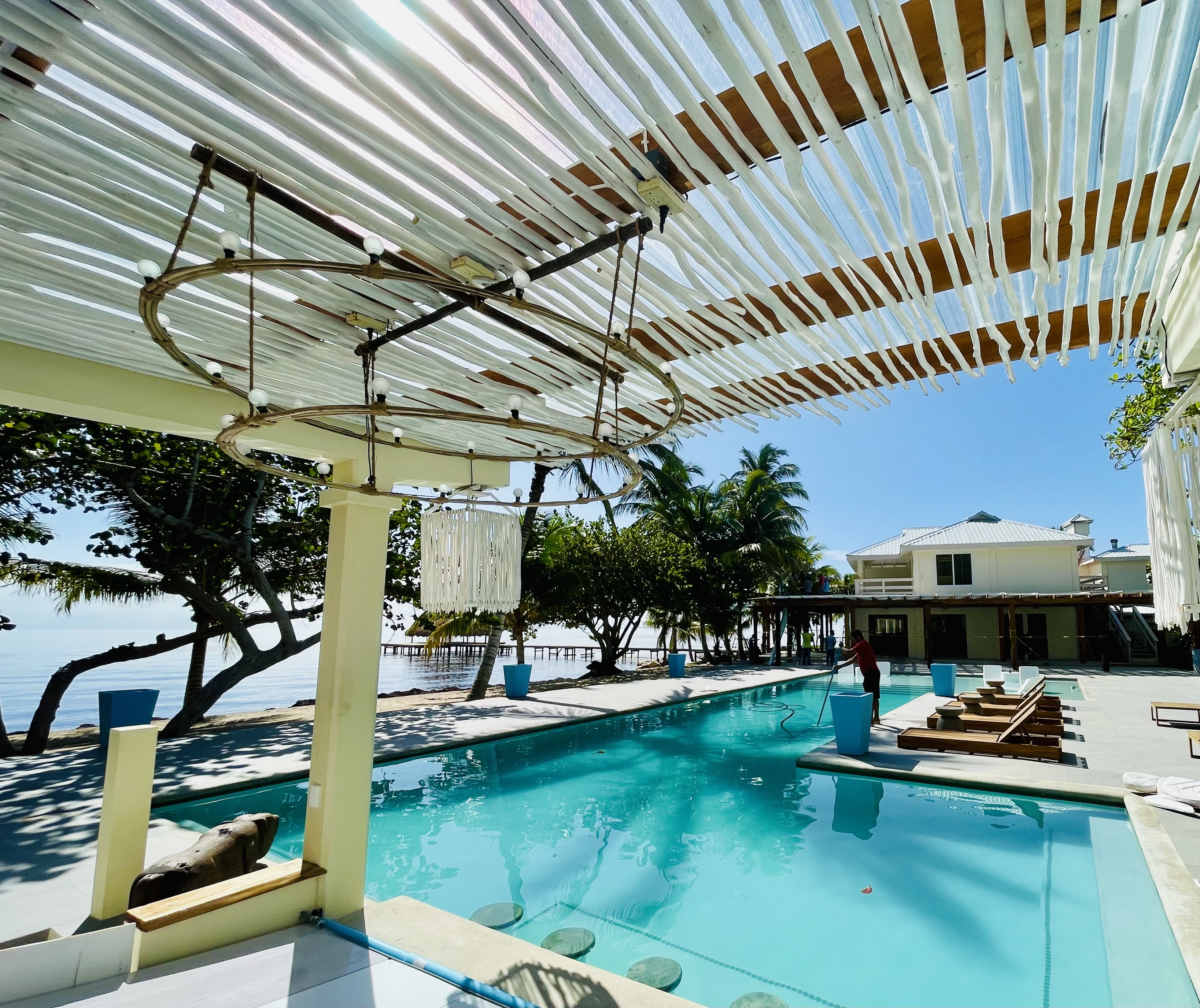 Brush Stick Over the Pool