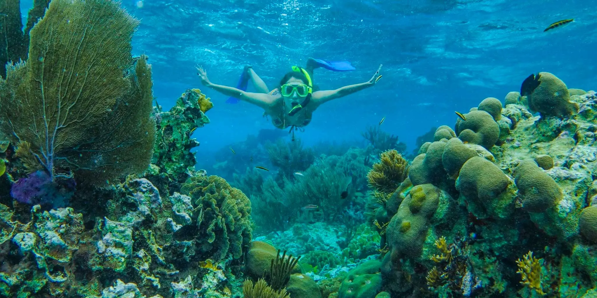Um hóspede praticando snorkeling na grande barreira de corais ao largo da costa de Placencia no Blue Reef Beach & Marina