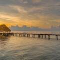 From Rainforests to Reefs with The Belize Collection